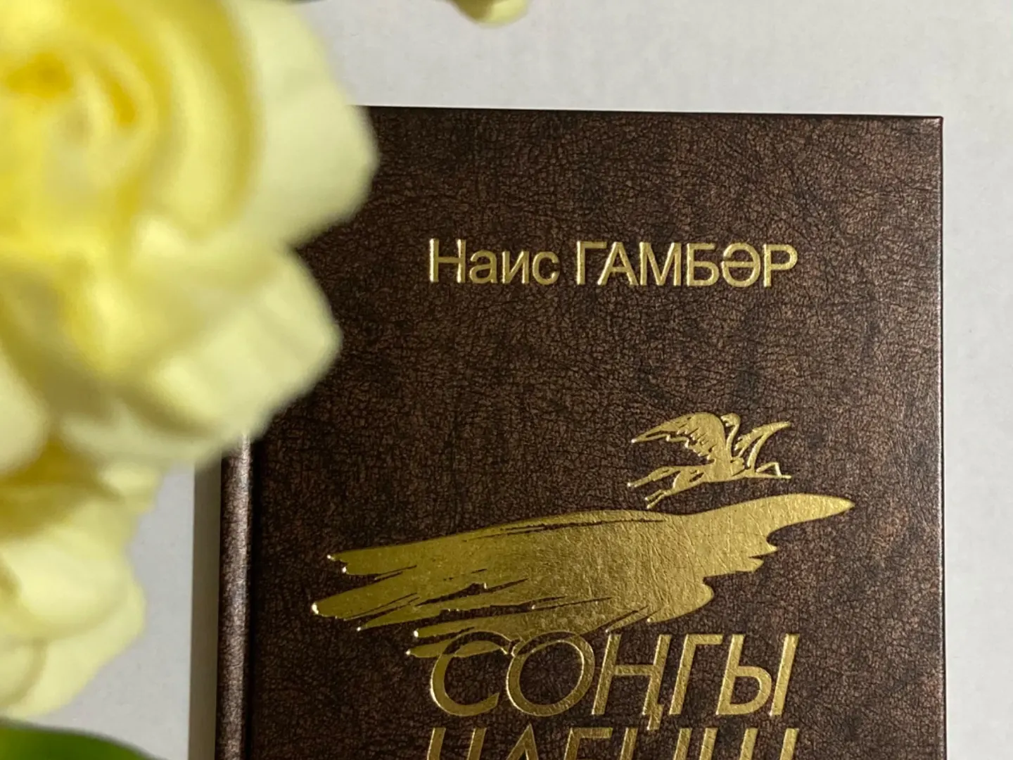 #әдәбимарафон2024