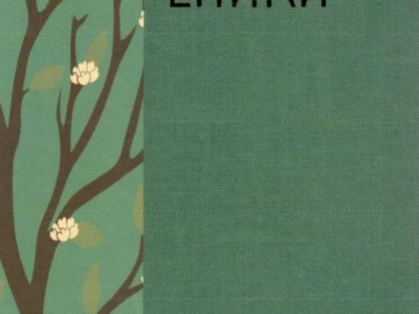 Әмирхан Еники "Бала"