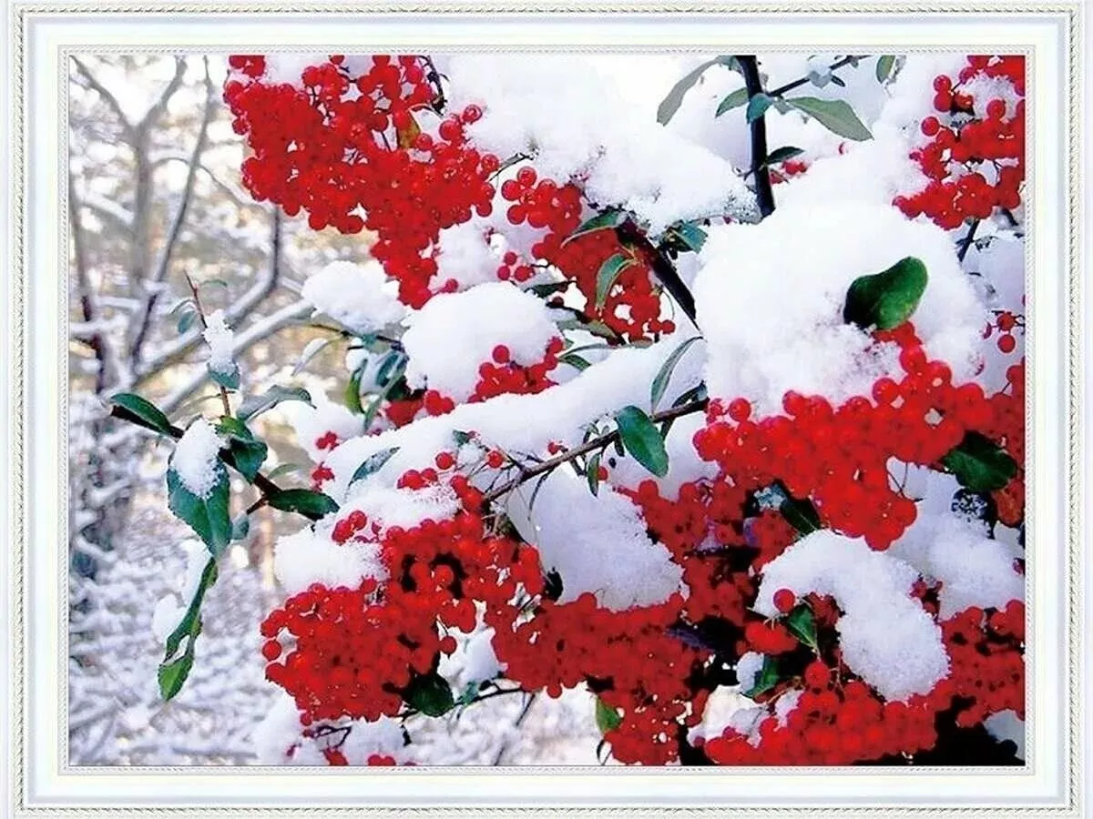 11 нче көн #әдәбимарафон #әдәбимарафон2025 Илсөяр Иксанова  "Миләш"