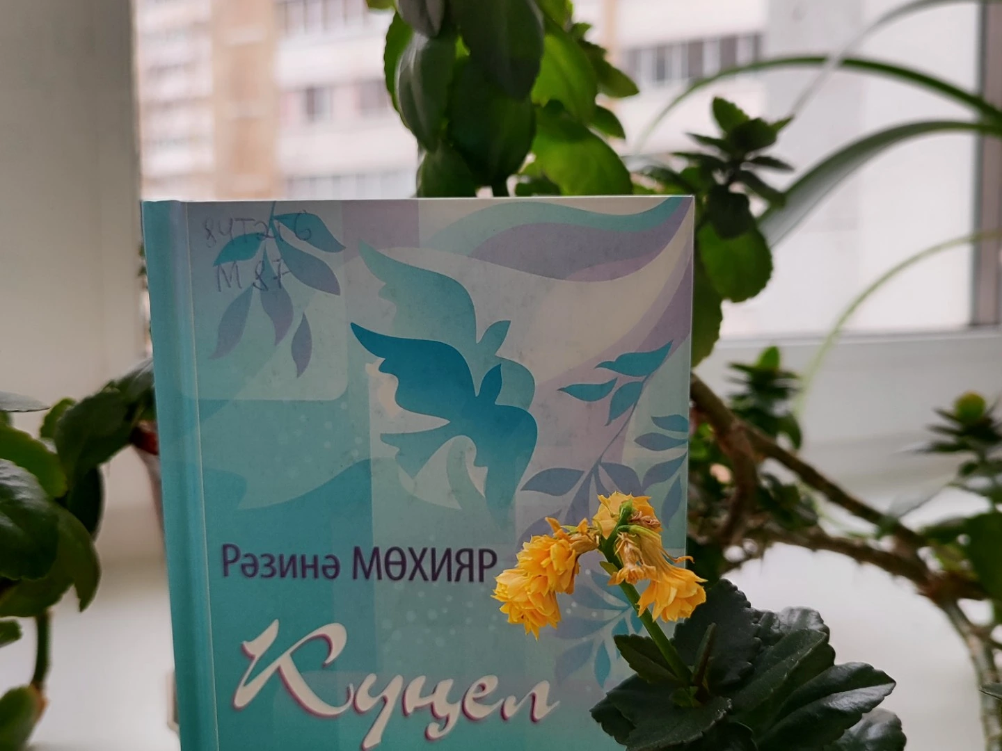 Рәзинә Мөхияр "Үзем беләм"