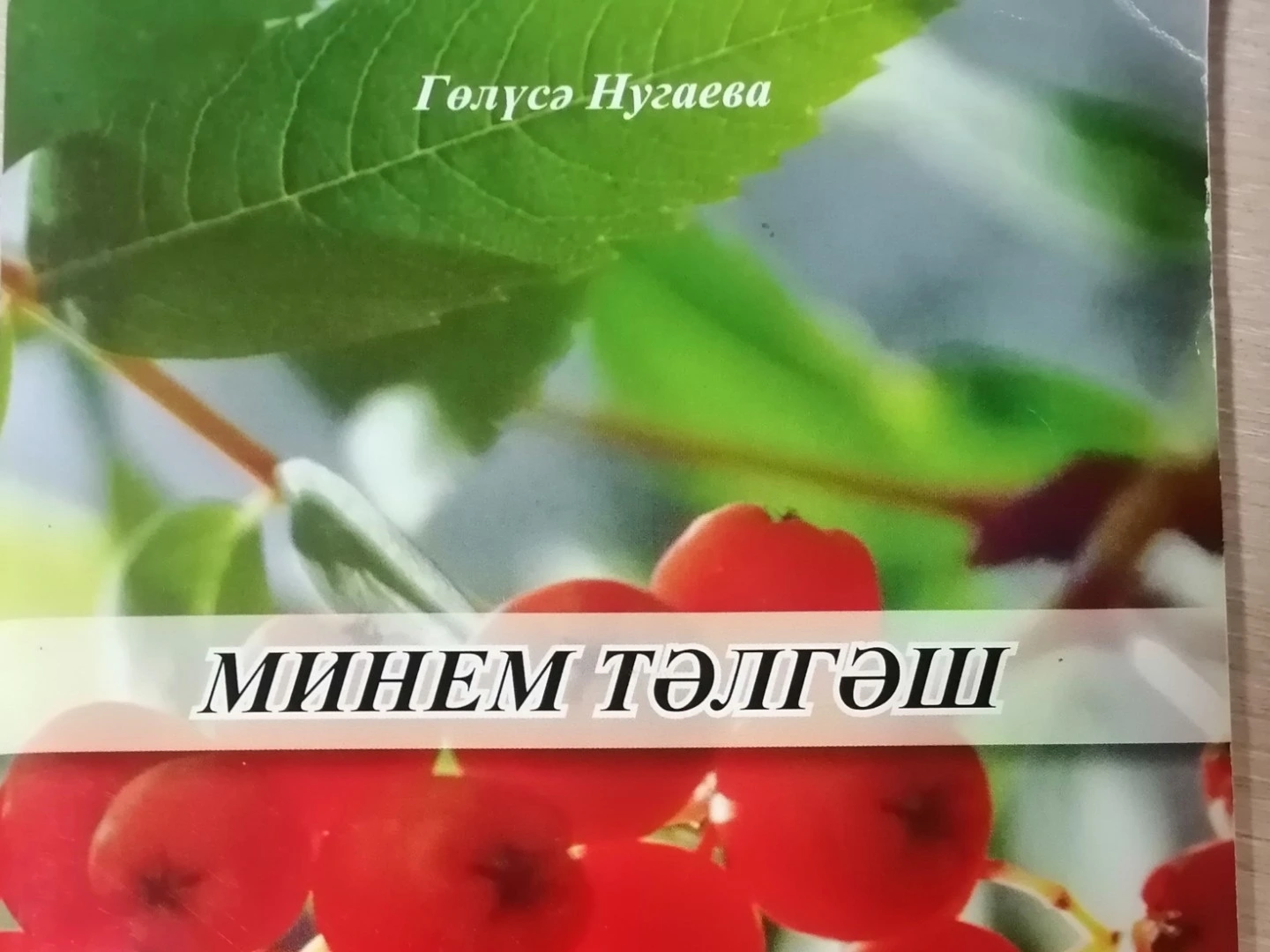 Гөлүсә Нугаева "Минем тәлгәш"