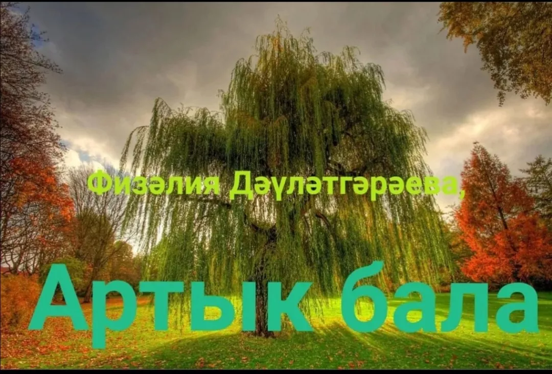 Физәлия Дәүләтгәрәева "Артык бала"