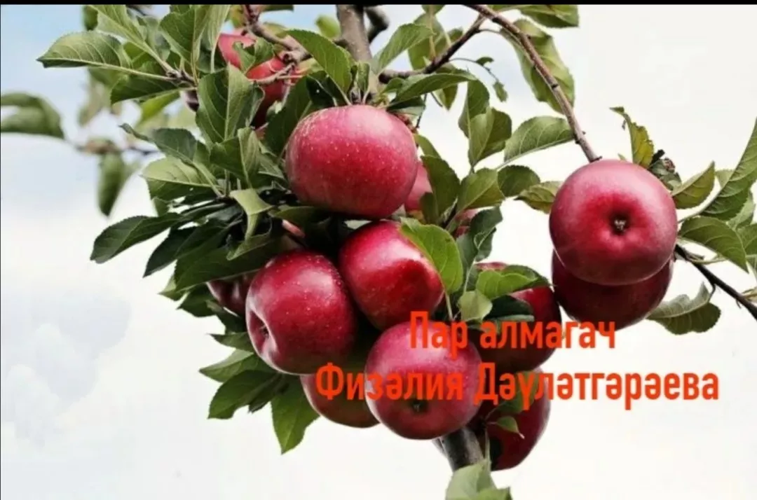 Физәлия Дәүләтгәрәева "Пар алмагачлар"