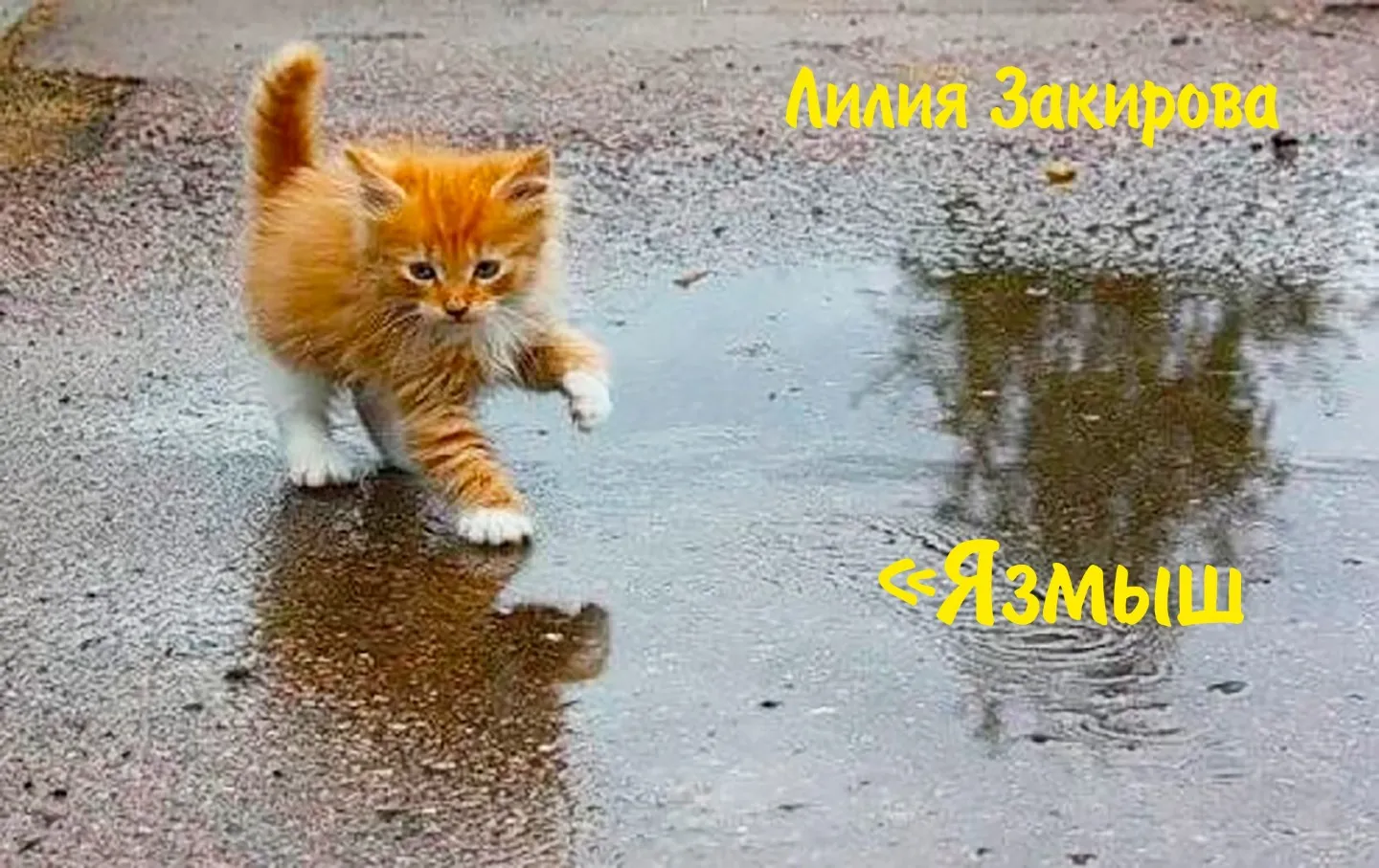 Лилия Закирова "Язмыш"