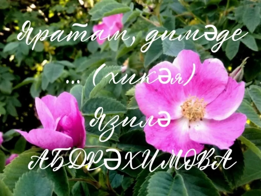 Язилә Абдрәхимова "Яратам, димәде"
