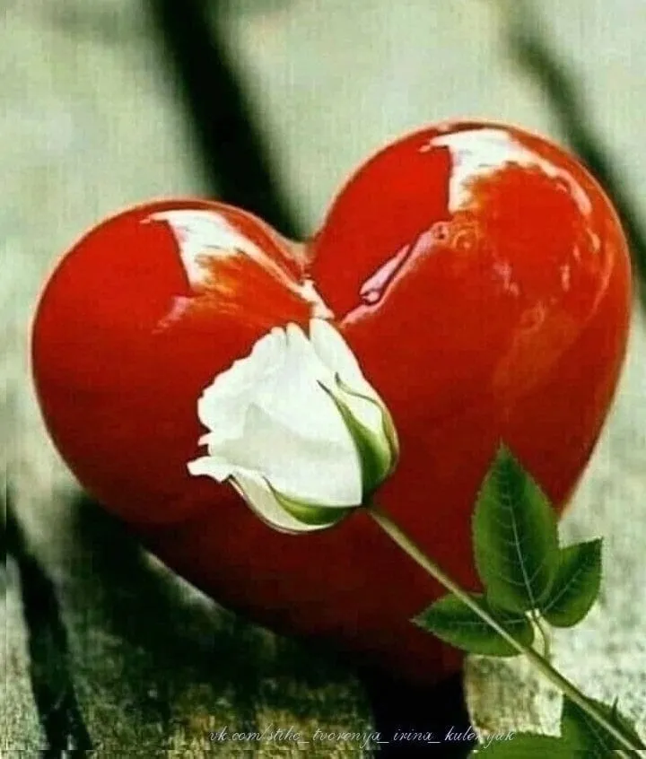 Әлфия Кәримова "Гомер бер генә бирелә"