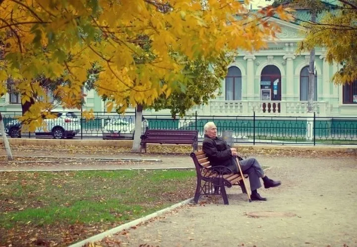 Физәлия Дәүләтгәрәева "Оча ла күктә бер бөркет"