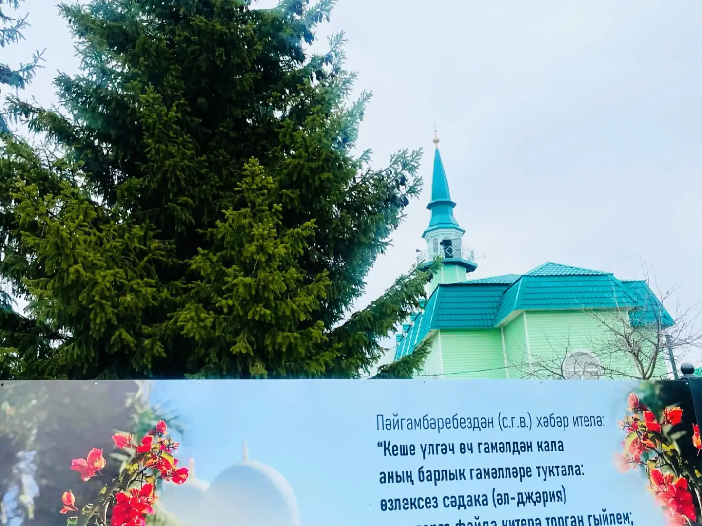 Нәбирә Гыйматдинова "Тамга"