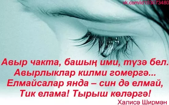 Алмалы ел