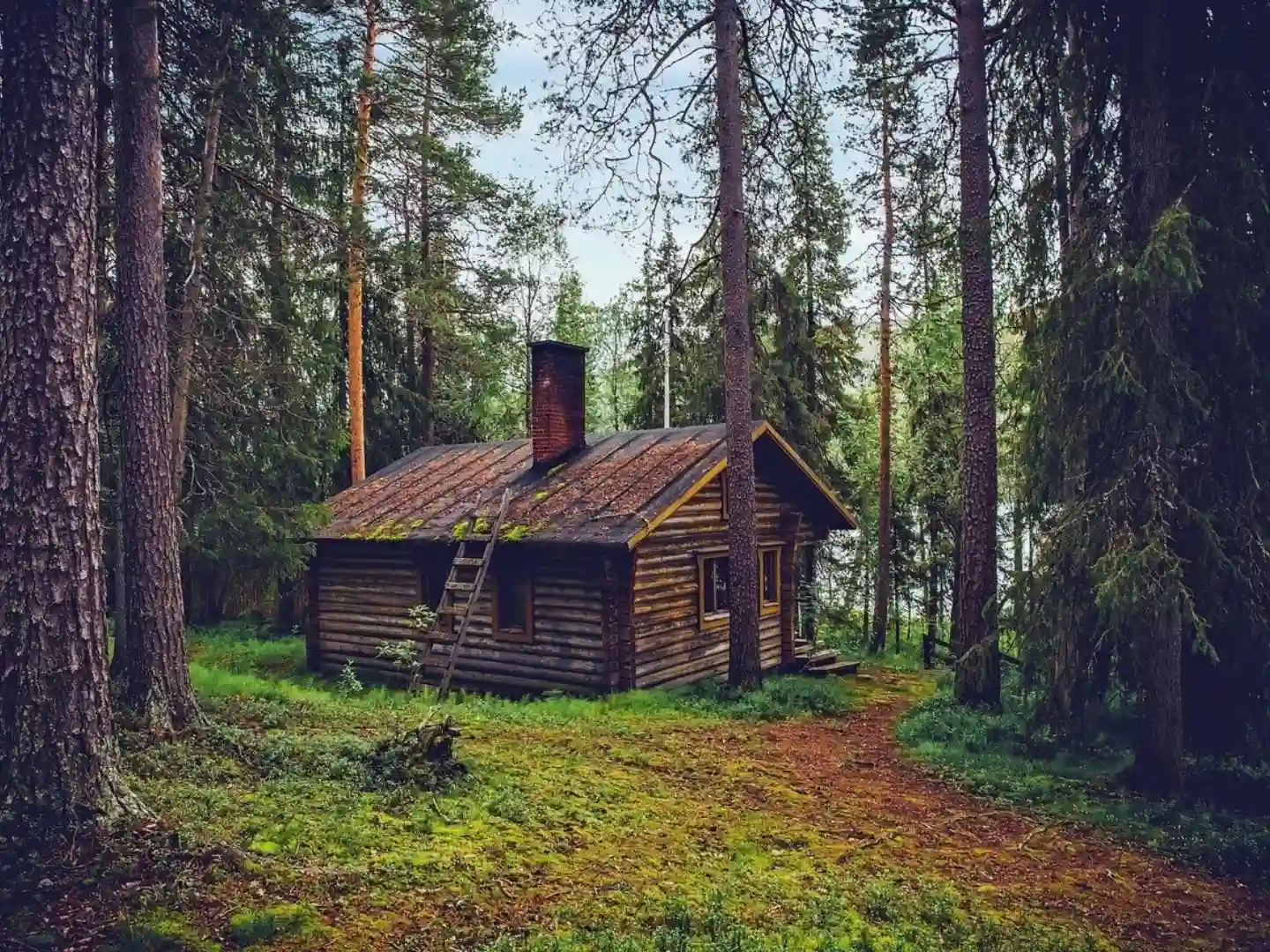 Тамга
