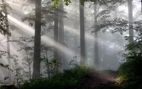 9 нчы көн. Юралган язмыш. Лилия ХӘЙДАРШИНА