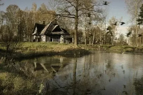 16 нчы көн. Каргыш корбаны. Гөлсинә ХАНӘФИ