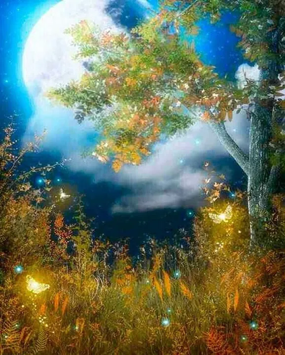6 нчы көн. Төш. Язилә АБДРӘХИМОВА