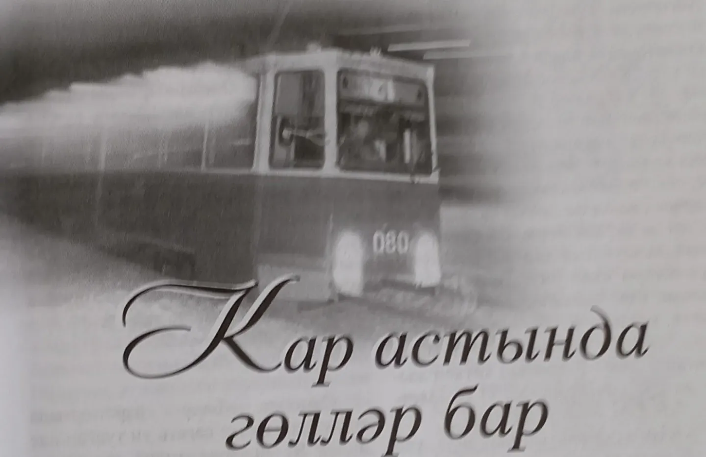 13 нче көн. Кар астында гөлләр бар