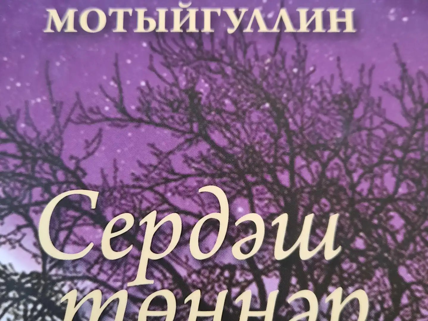 Фәнис Мотыйгуллин "Язда кайтырмын".