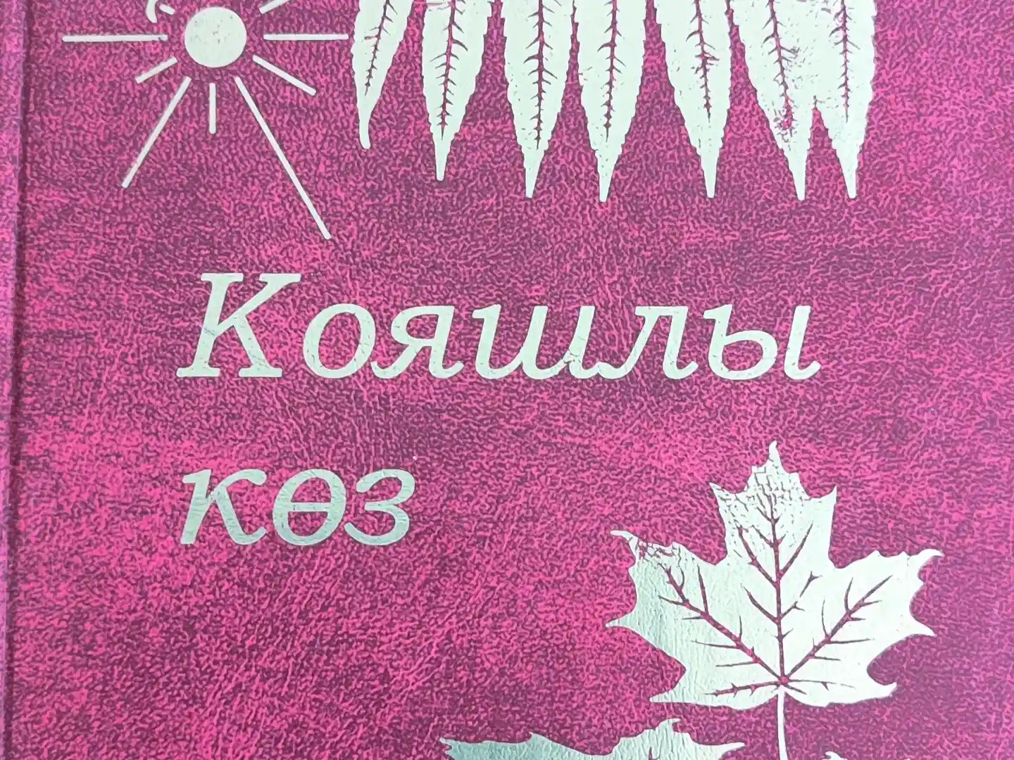 Фәүзия Мөхәммәтова, "Ышаныч, өмет, мәхәббәт"