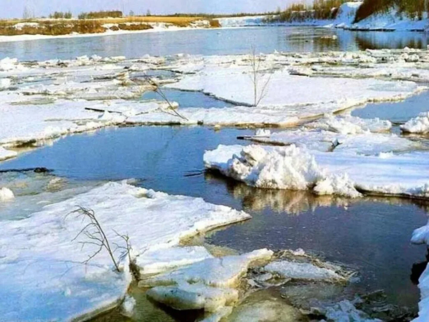 Ак Чәчәкләр