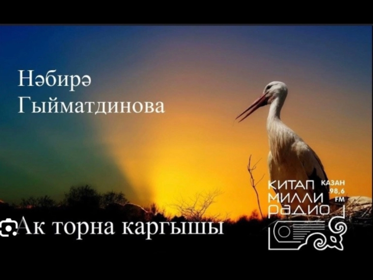 Ак торна каргышы