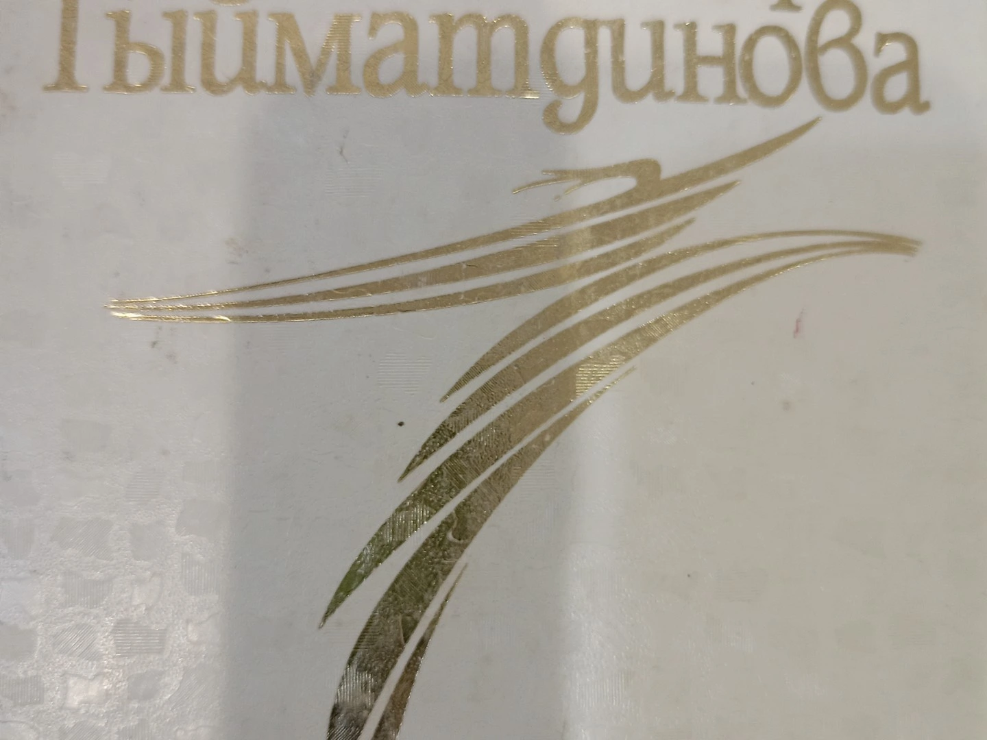 НәбирәГыйматдинова "Мәхәббәттә гөнаһ бар""