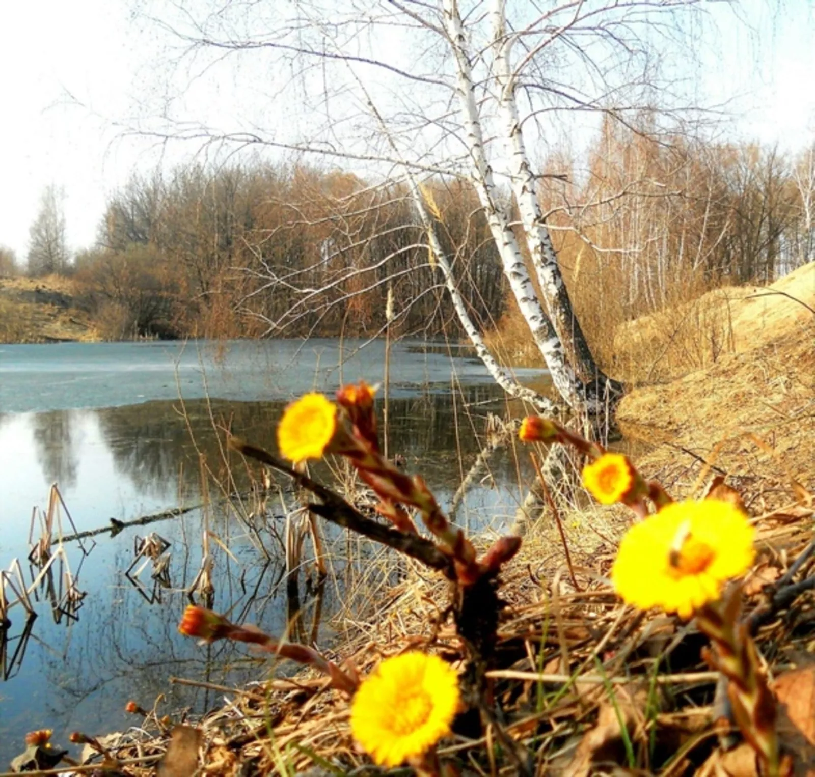 11 нче көн. Мөхәммәт Мәһдиев Кеше китә- җыры кала