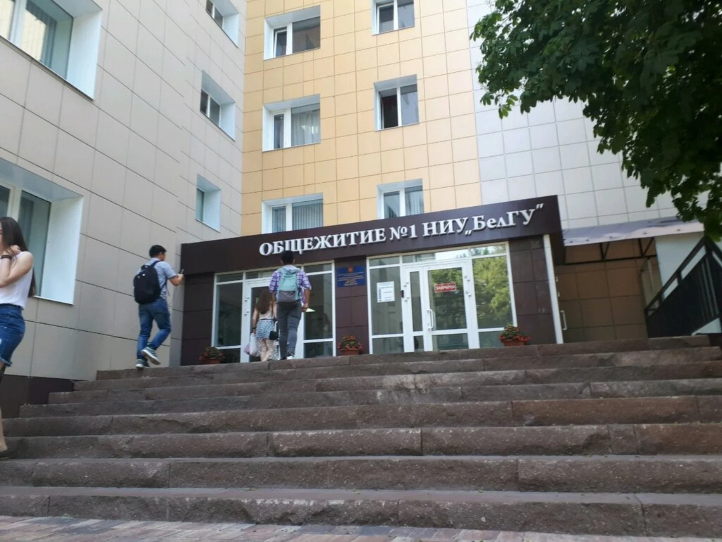 Кызыл гөл