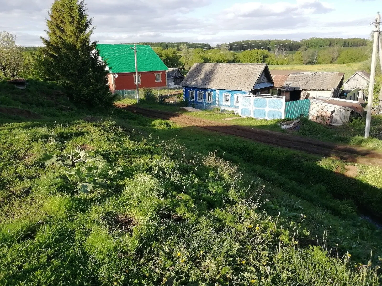 Күке төкереге