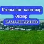 Каерылган канатлар