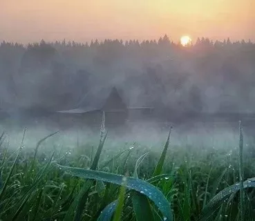 21 нче көн. Гөлниса апа. Рәисә ИШМОРАТОВА