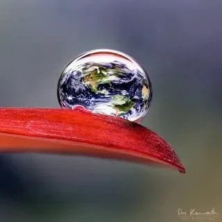 6 нчы көн. Кайтаваз. Рөстәм САФИН