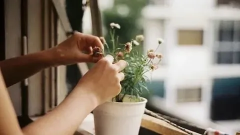 21 нче көн. Язмыш сынавы