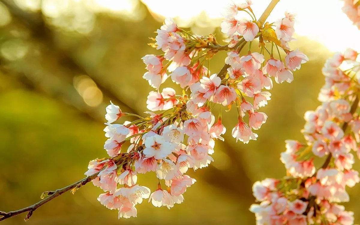 21 нче көн. Майның аяз киче. ӘхсәнБаян