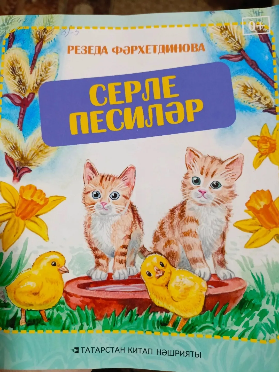 12 нче көн. Резеда Фәрхетдинова "Тырыш малай"