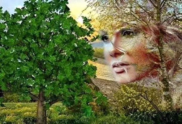 "Бәхет кошым кайларда"