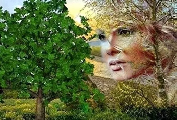 "Бәхет кошым кайларда"
