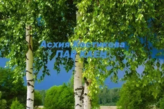 "Пар каен"