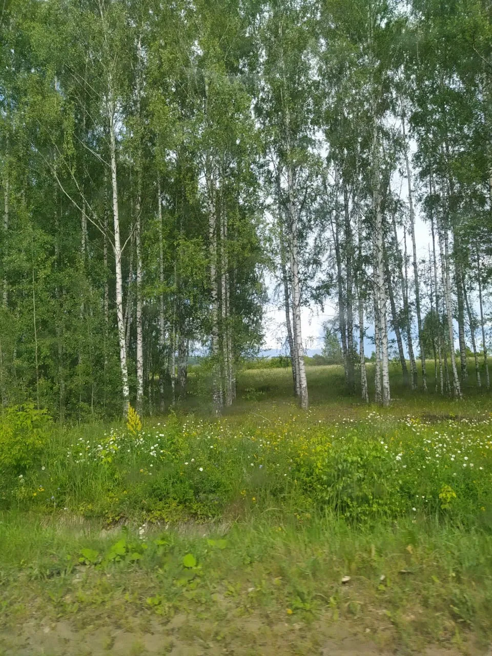 Лилия Закирова "Күңел ярасы"