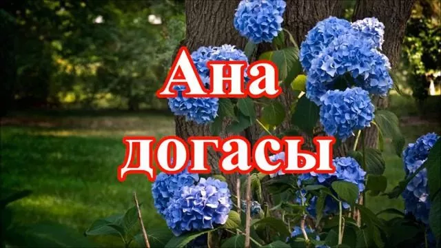 #Әдәбимарафон #Әдәбимарафон2025 10 нчы көн. Габдулла Тукай Ана догасы