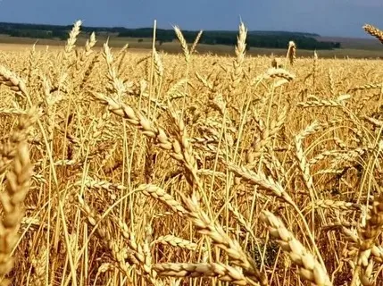 #Әдәбимарафон #Әдәбимарафон2025  2нче көн КӨЗГЕ МОҢ  Хәбир Ибраһим