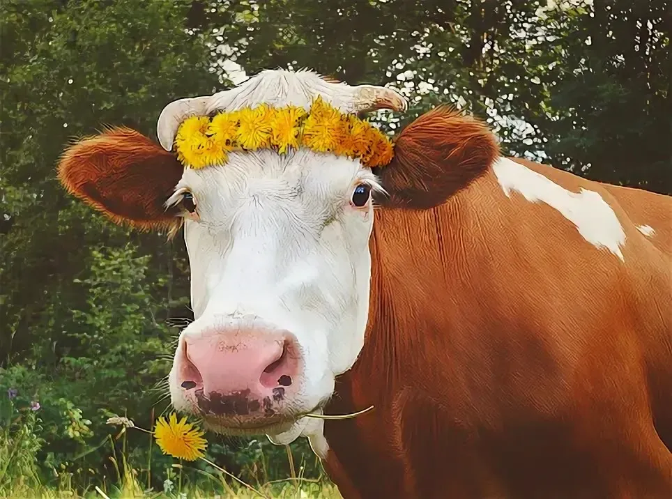 9 нчы көн . М. Жәлил. Гашыйк һәм сыер