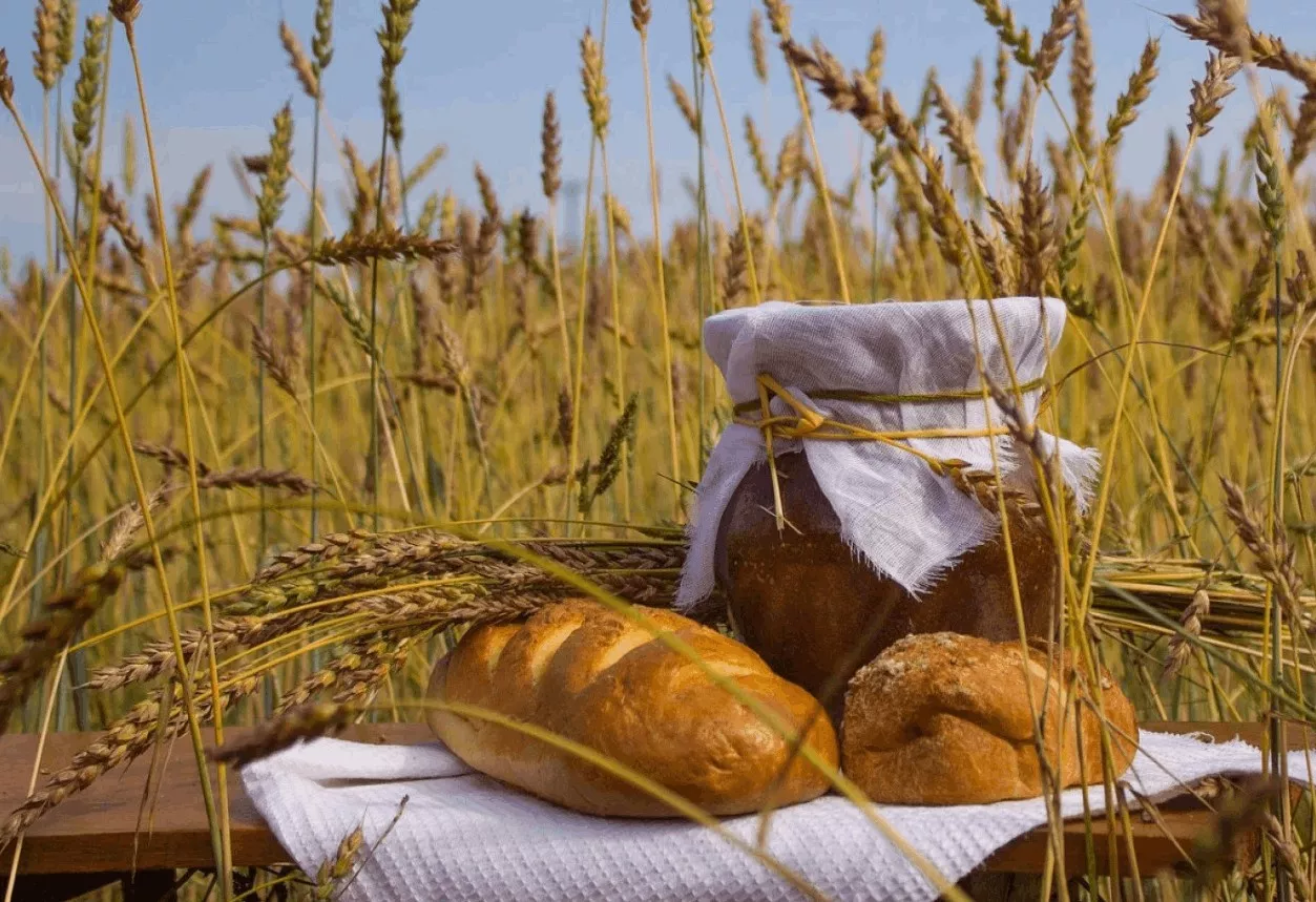Ркаил Зәйдулла "Икмәк"
