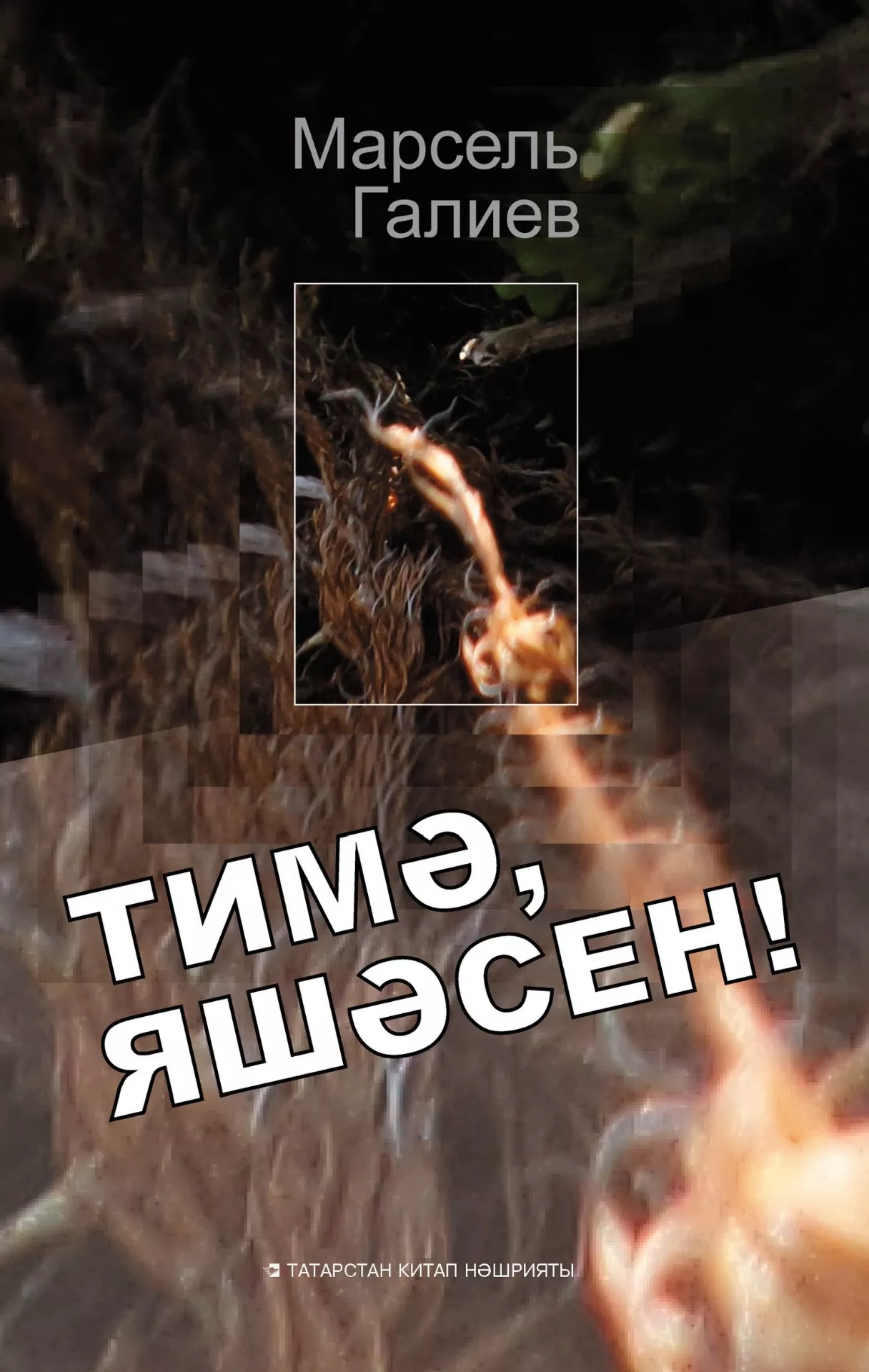 Марсель Галиев"Тимә, яшәсен!"