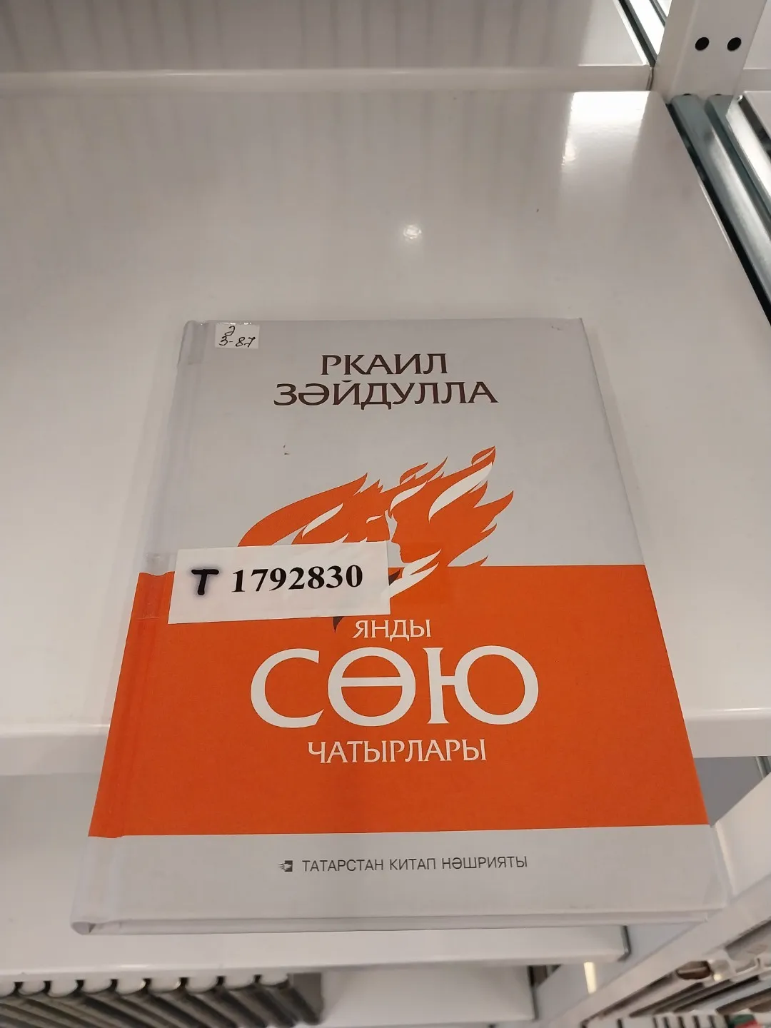 17 нче көн #әдәбимарафон2025