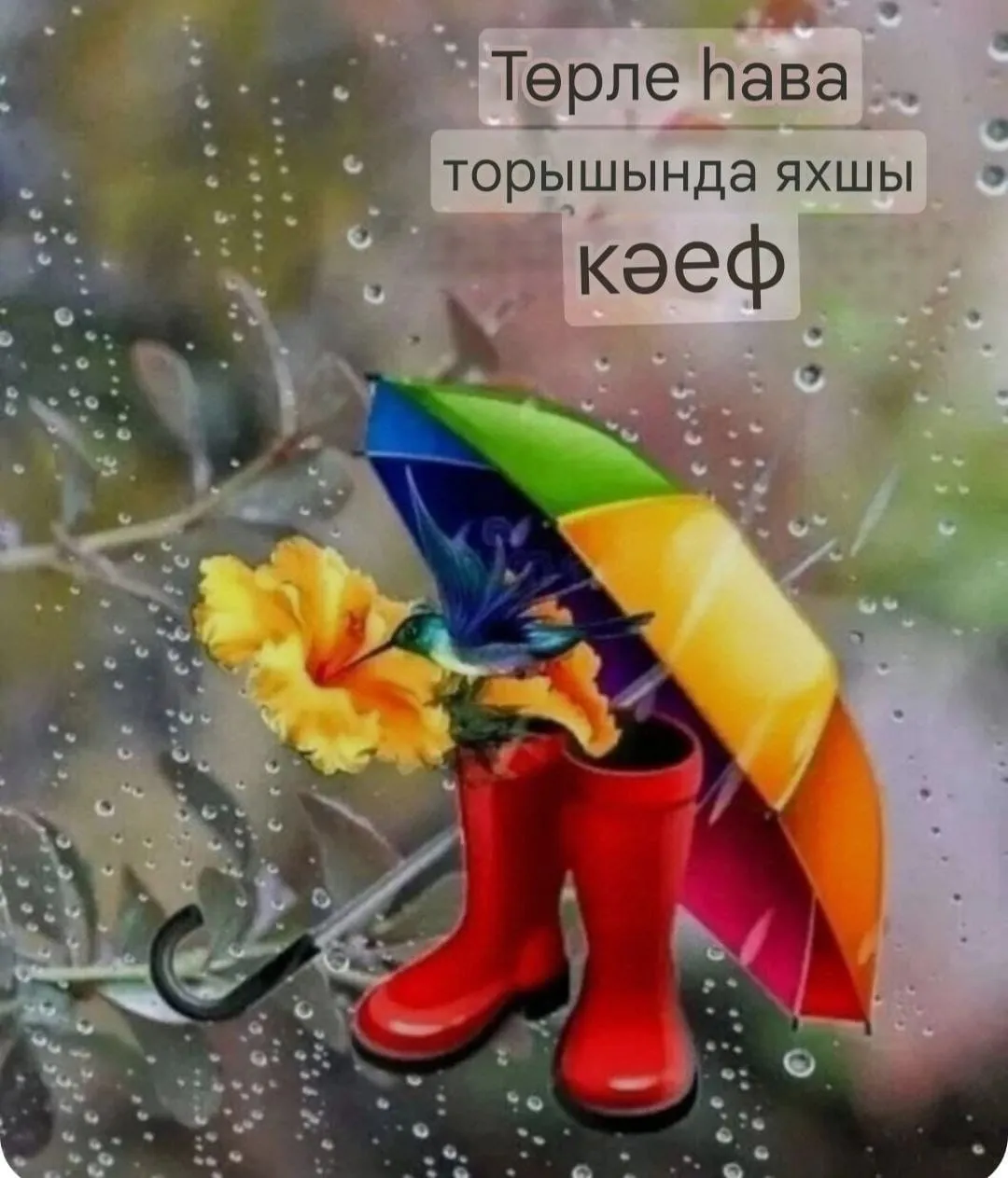 Яңгыр