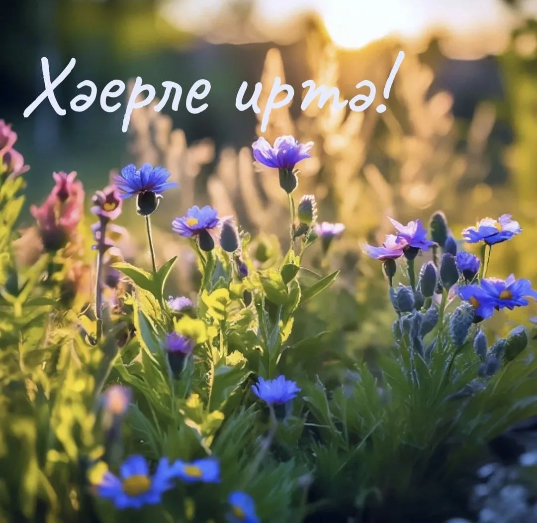 Хәерле иртә