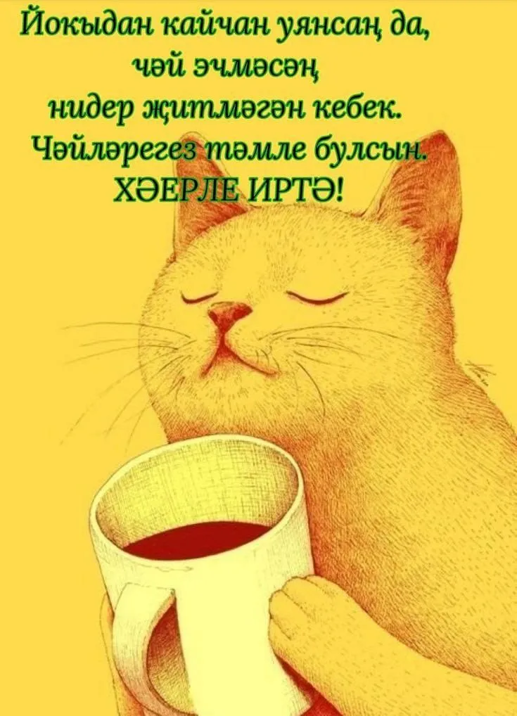 8 август - Бөтендөнья песиләр көне
