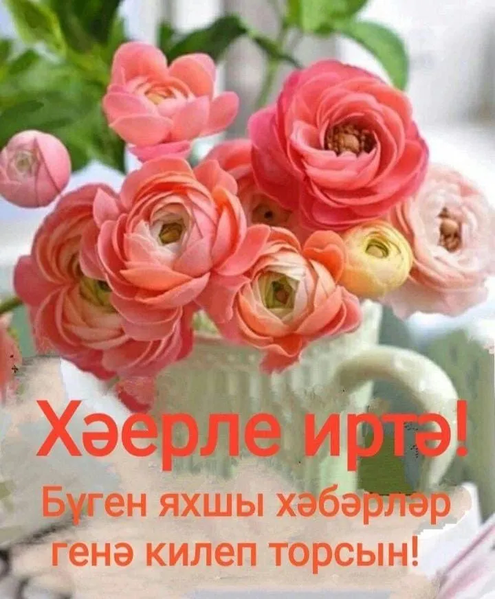 Хәерле иртә