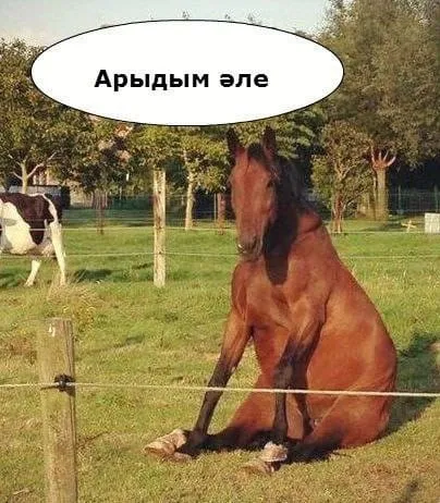 Яллардаң соң да