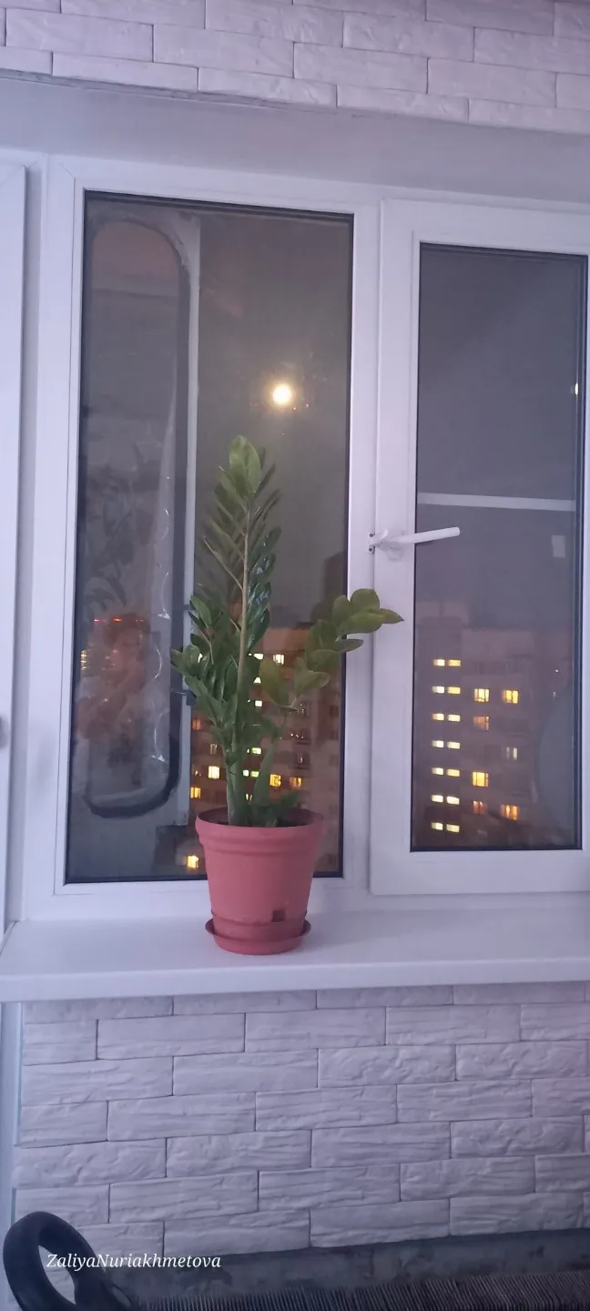 ЯШЕРЕН ХӘЗИНӘ..