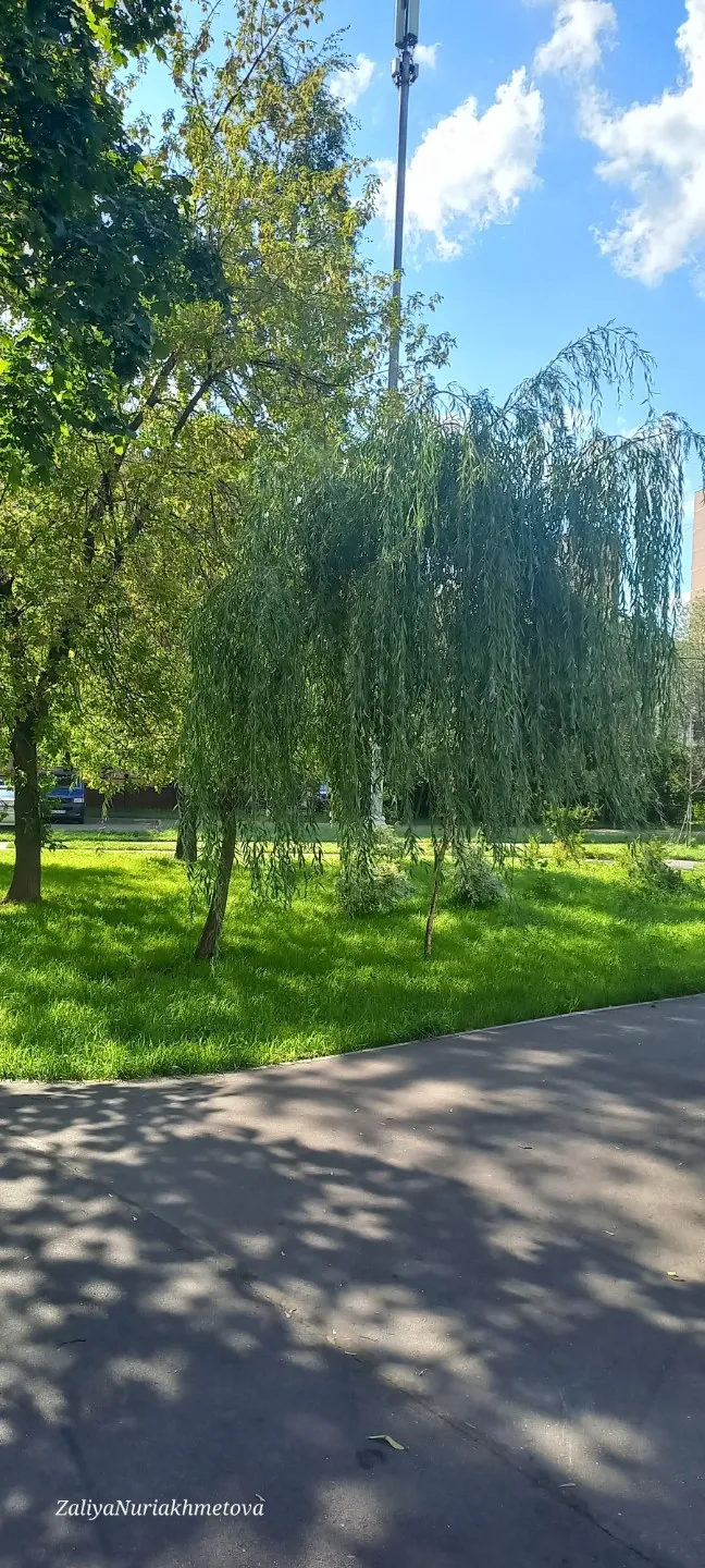 ЯШЕРЕН ХӘЗИНӘ..