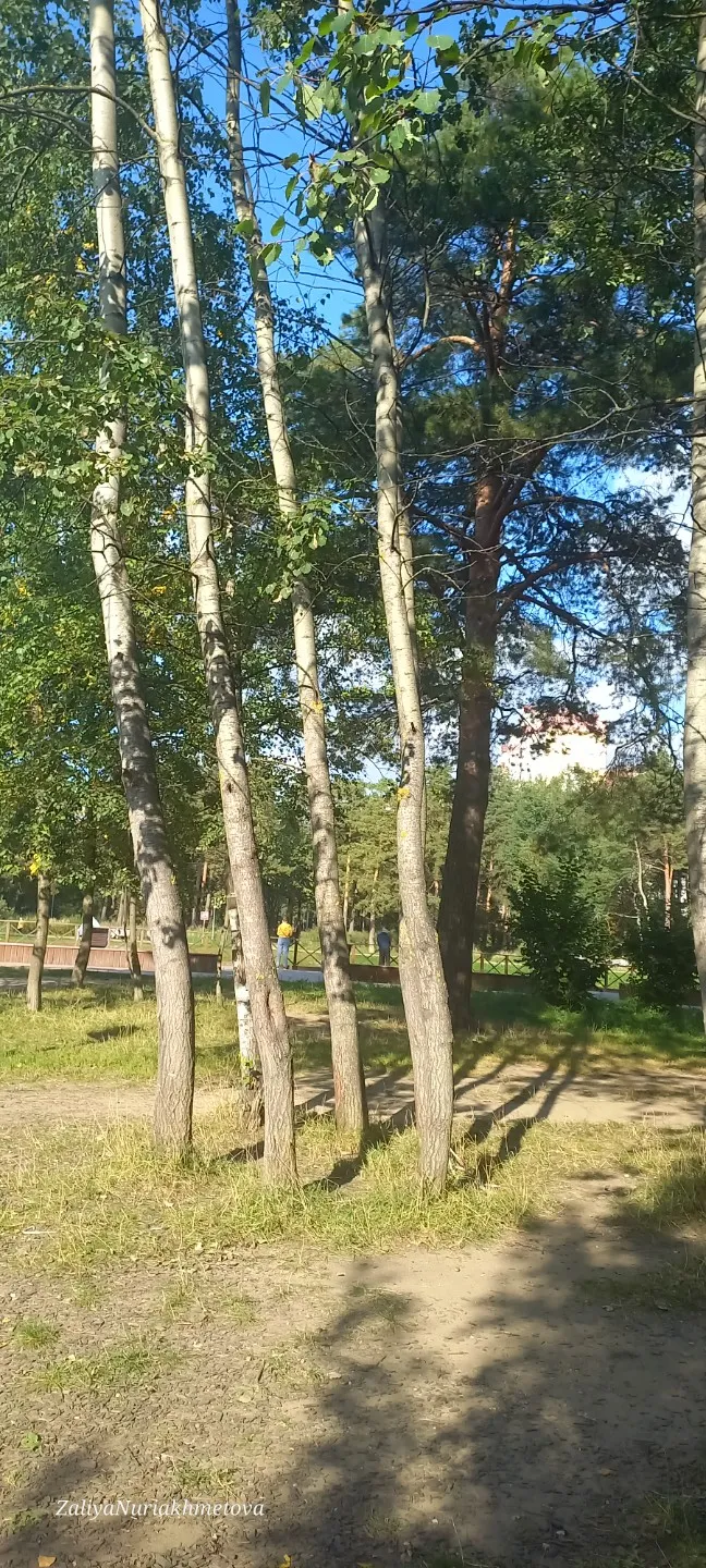 ЯШЕРЕН ХӘЗИНӘ.. (Залия Нуриәхмәтова)